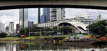 pinheiros capa