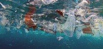 plasticomar