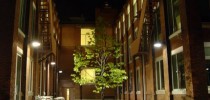 pocket_park_waterloo_5