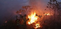 Incêndio na Chapada Diamantina