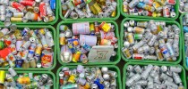 recycling-garbage-pickup