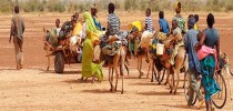 refugiados2