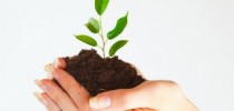 responsabilidade ambiental