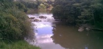 riojundiai