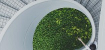 sustentabilidade