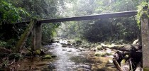 Parque Estadual Restinga de Bertioga, SP