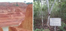 Antes de depois da recuperação da área da Mina Serra da Onça, na região amazônica, degradada pela mineração