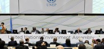 unea1
