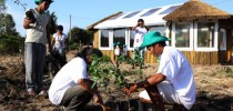 vida-e-cultura-guarani-fase-iii-2018-2020-600px