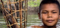 Imagem relatorio “Peixes Esquecidos do Mundo”, WWF