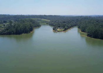 CONHEÇA A ILHA DO BORORÉ, BAIRRO DA GRANDE SÃO PAULO QUE DÁ AULA SOBRE PRESERVAÇÃO AMBIENTAL