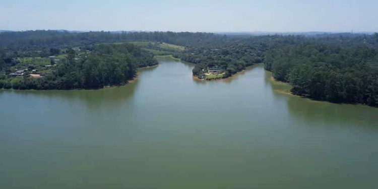CONHEÇA A ILHA DO BORORÉ, BAIRRO DA GRANDE SÃO PAULO QUE DÁ AULA SOBRE PRESERVAÇÃO AMBIENTAL