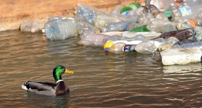 POLUIÇÃO PLÁSTICA: COMPLEXIDADE ECONÔMICA, TECNOLOGIA E CIRCULARIDADE