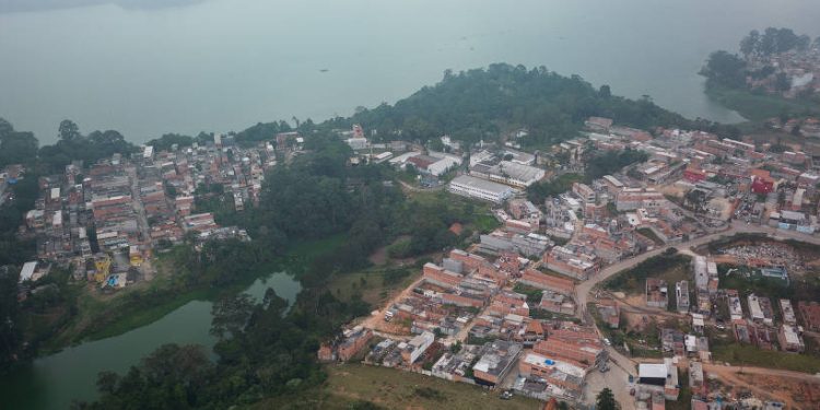 CRIME ORGANIZADO FINANCIA DESMATAMENTO DA MATA ATLÂNTICA NA ZONA SUL DE SP