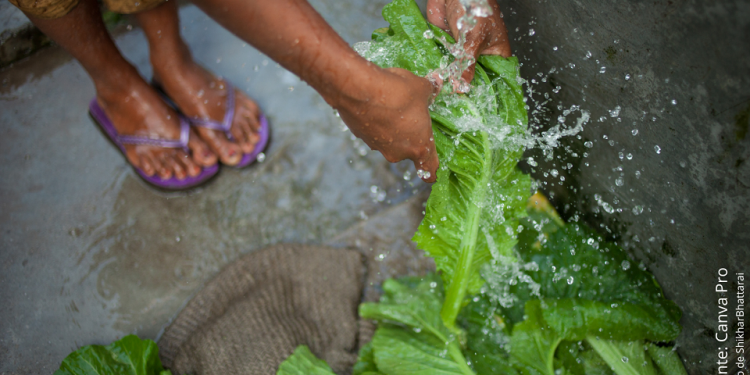 A REALIDADE DA ÁGUA E DO SANEAMENTO NO BRASIL