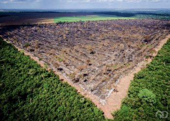 ESTUDO ANALISA PROJETO DE LEI QUE PRETENDE TIRAR MT DA AMAZÔNIA LEGAL