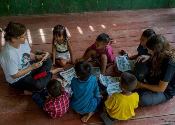 COMO LIVROS INFANTIS PODEM PROMOVER A EDUCAÇÃO AMBIENTAL NO BRASIL?