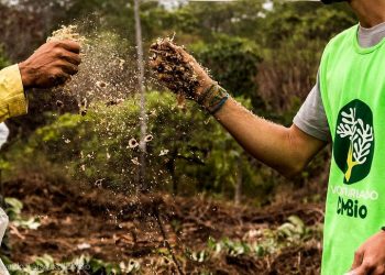 PROJETO QUER SALVAR O CERRADO SEMEANDO CAPIM