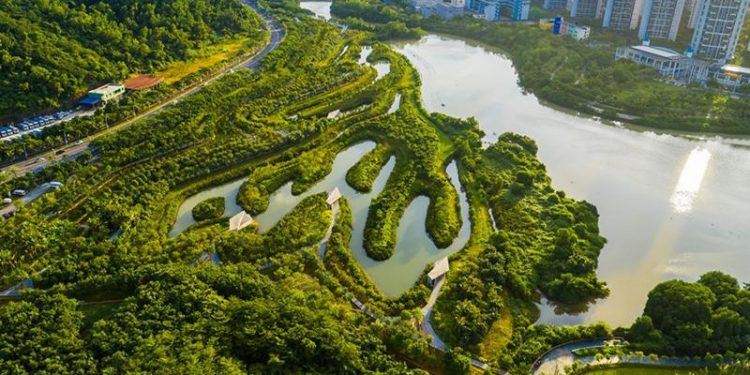 COMO CONTER ENCHENTES NO BRASIL, SEGUNDO CRIADOR DAS ‘CIDADES-ESPONJA’: ‘BARRAGENS ESTÃO FADADAS AO FRACASSO’