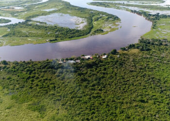 AS RIQUEZAS CONCRETAS DO PATRIMÔNIO NATURAL NO PANTANAL BRASILEIRO