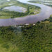 AS RIQUEZAS CONCRETAS DO PATRIMÔNIO NATURAL NO PANTANAL BRASILEIRO
