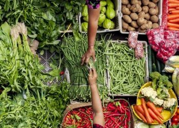 ‘AMÉRICA LATINA DEVERIA SER REGIÃO COM MENOS FOME NO MUNDO’, DIZ PESQUISADOR