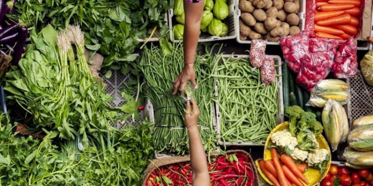 ‘AMÉRICA LATINA DEVERIA SER REGIÃO COM MENOS FOME NO MUNDO’, DIZ PESQUISADOR