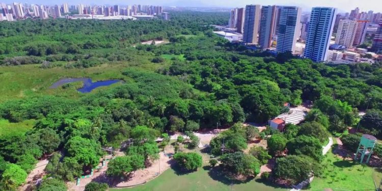 LIMITES INTERPRETATIVOS DA LEI Nº 14.285