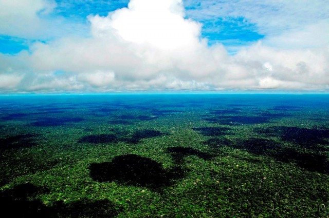 Amazônia (imagem da internet)