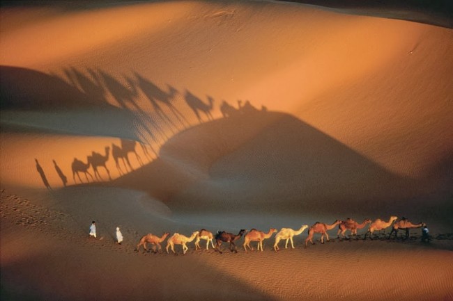 caravana-de-dromedarios-perto-de-nouakchott-mauritania