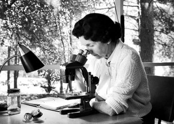 NO DIA INTERNACIONAL DAS MULHERES – QUEM FOI RACHEL CARSON?