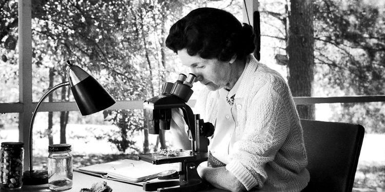 NO DIA INTERNACIONAL DAS MULHERES – QUEM FOI RACHEL CARSON?