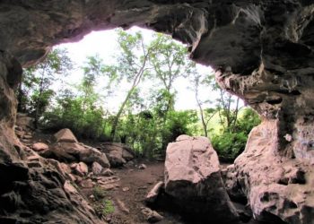 UM BOCADO DE DIREITO AMBIENTAL PARA EXERCÍCIO DA CIDADANIA CULTURAL
