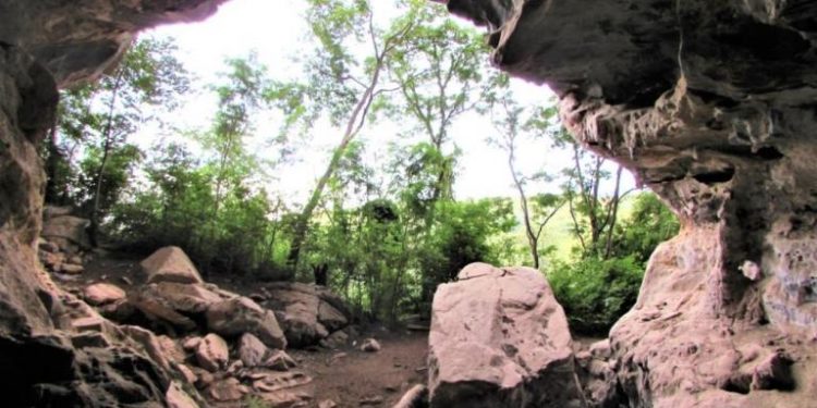 UM BOCADO DE DIREITO AMBIENTAL PARA EXERCÍCIO DA CIDADANIA CULTURAL