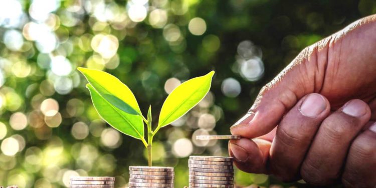 CÁLCULO DA COMPENSAÇÃO DO SNUC