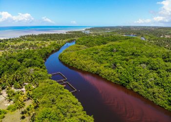 MATA ATLÂNTICA, A FLORESTA DA POPULAÇÃO BRASILEIRA