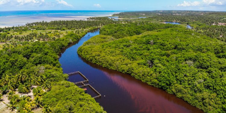 MATA ATLÂNTICA, A FLORESTA DA POPULAÇÃO BRASILEIRA