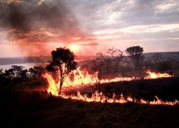 PESQUISADORES DESENVOLVEM SISTEMA CAPAZ DE PREVER INCÊNDIOS NO CERRADO
