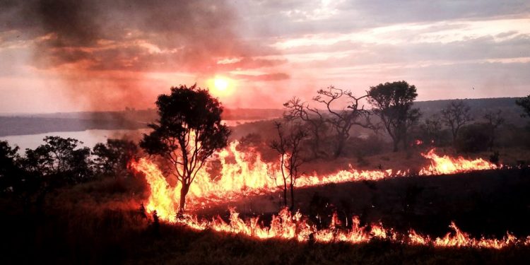 PESQUISADORES DESENVOLVEM SISTEMA CAPAZ DE PREVER INCÊNDIOS NO CERRADO