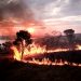 PESQUISADORES DESENVOLVEM SISTEMA CAPAZ DE PREVER INCÊNDIOS NO CERRADO