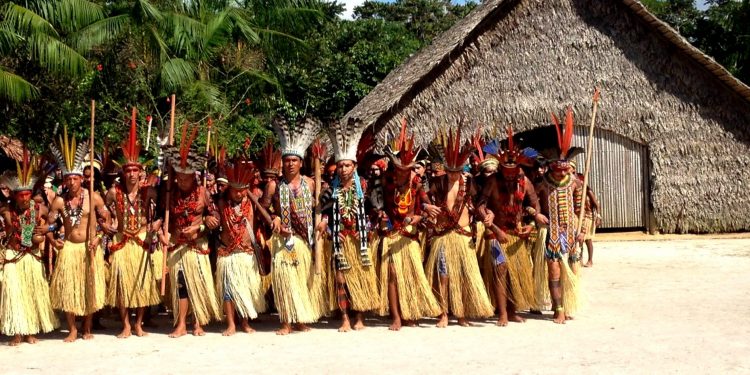 TERRA INDÍGENA NO ACRE É FREIO PARA O DESMATAMENTO E PODE COMEÇAR A GERAR CRÉDITOS DE CARBONO
