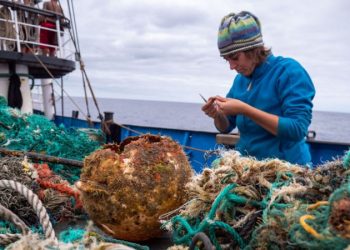 MANCHA GIGANTE DE PLÁSTICO NO OCEANO CRIA NOVO HABITAT PARA ANIMAIS MARINHOS
