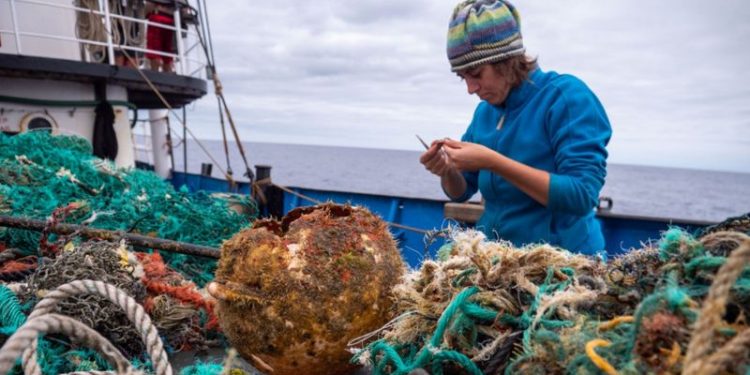 MANCHA GIGANTE DE PLÁSTICO NO OCEANO CRIA NOVO HABITAT PARA ANIMAIS MARINHOS