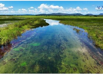 AS RIQUEZAS CONCRETAS DO PATRIMÔNIO NATURAL NO PANTANAL BRASILEIRO