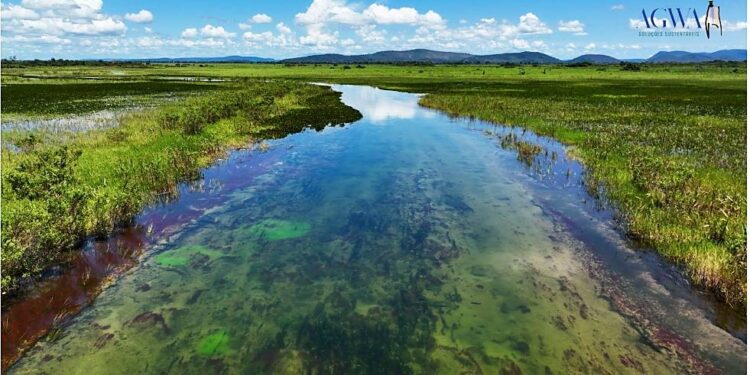 AS RIQUEZAS CONCRETAS DO PATRIMÔNIO NATURAL NO PANTANAL BRASILEIRO