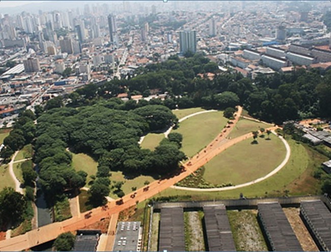 Pequena reserva de Mata Atlântica no Parque da Juventude, ZN de São Paulo (antiga Casa de Detenção)