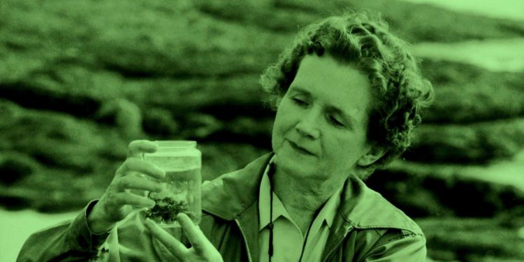 A ATUALIDADE DE ‘PRIMAVERA SILENCIOSA’