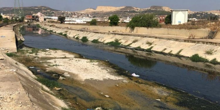 CONTAMINAÇÃO DE RIOS POR REMÉDIOS AMEAÇA SAÚDE MUNDIAL, DIZ ESTUDO