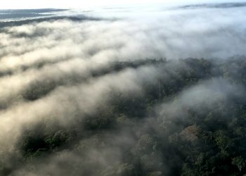 PROTEÇÃO DE “RIOS VOADORES” DA AMAZÔNIA UNE TCE, PREFEITURA DA CAPITAL DO ACRE E PREFEITURA DE SÃO PAULO
