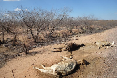 Seca-no-Nordeste